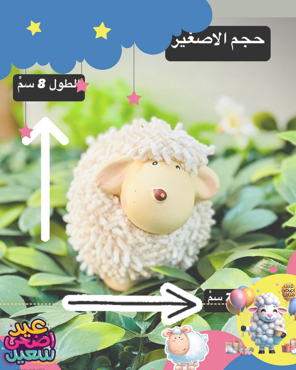 خروف الاضحى الحجم الصغير