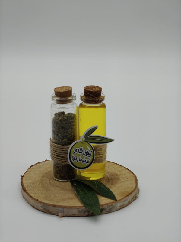 توزيعات جذع الزيت و الزعتر  موسم الزيتون